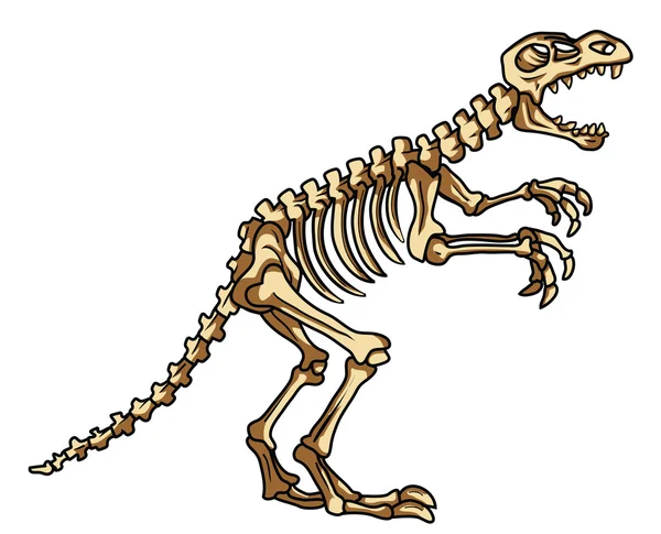 Dinosaur fossiele — Stockvector