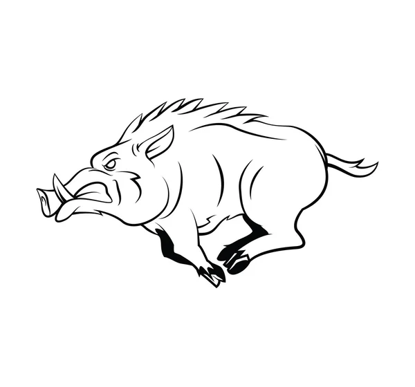 Wild Boar — Stock Vector