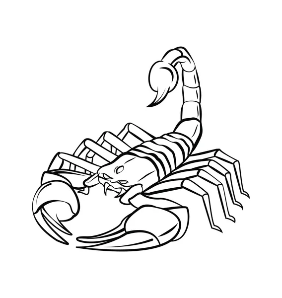 Scorpion Warrior vector illustration — Stock Vector