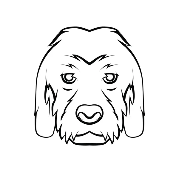 犬の頭 — ストックベクタ