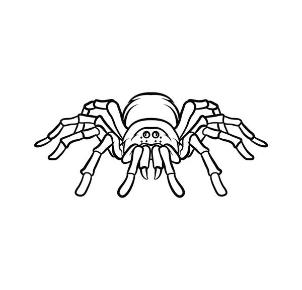 Tatuaje de tarántula — Vector de stock