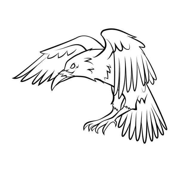 Havraní pták — Stockový vektor