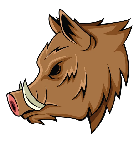 Wild boar — Stock Vector