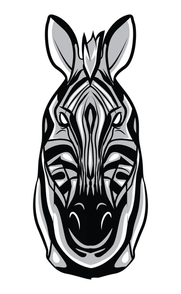 Zebra Head — Stock Vector