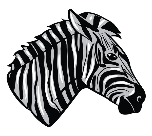 Cabeça de zebra — Vetor de Stock