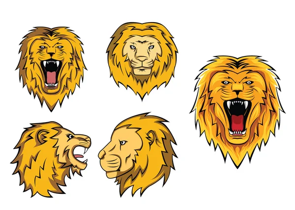 Lion Heads — Stock Vector