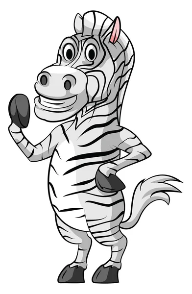 Zebra gülümseme — Stok Vektör