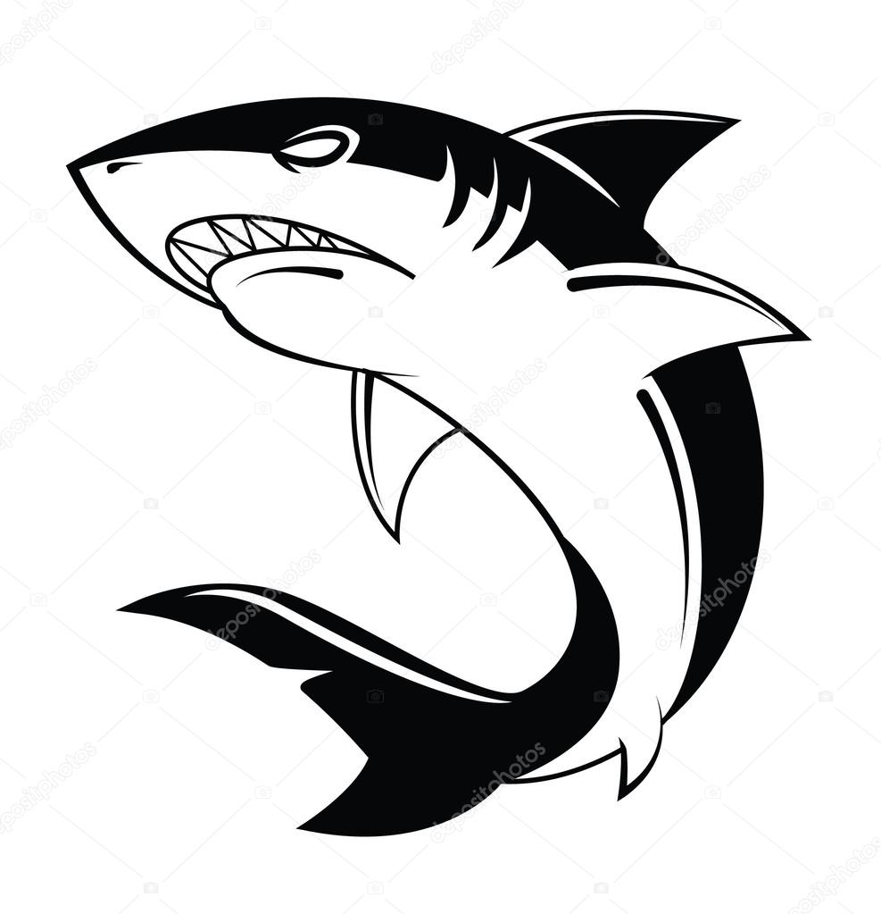 Shark Vector Illustration