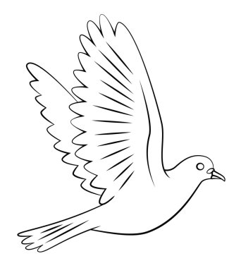 Barış sembolü güvercin