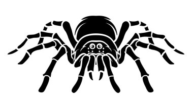 Örümcek vektör çizim