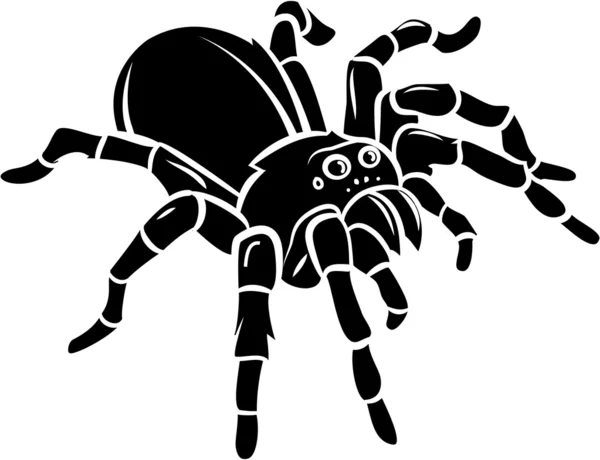 Spider vektor Illustration — Stock vektor