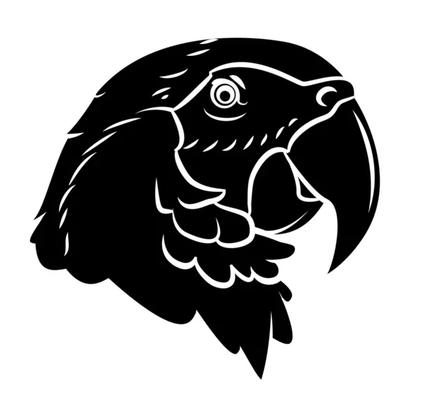 Papoušek vektorové ilustrace — Stockový vektor