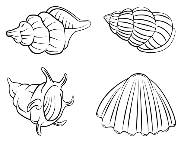 Shell Set Collection — Stock Vector