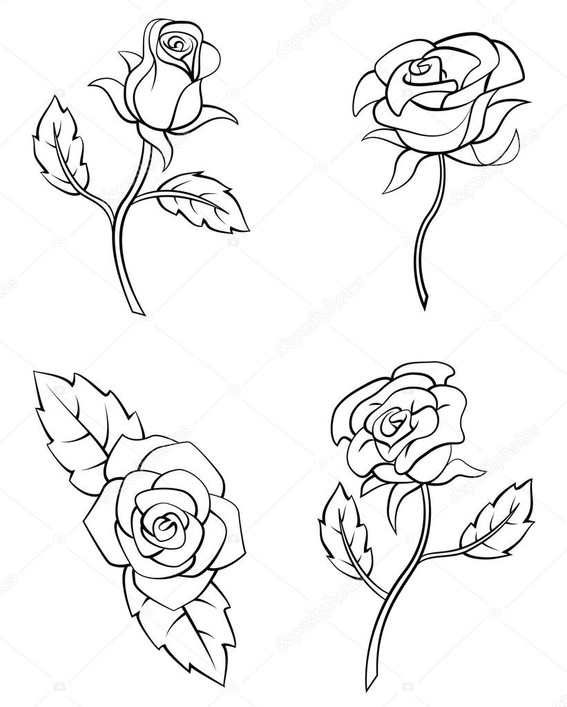 Rose Flower Set Collection