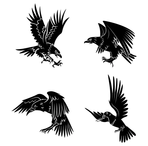 鹰，鸽子和乌鸦 — 图库矢量图片