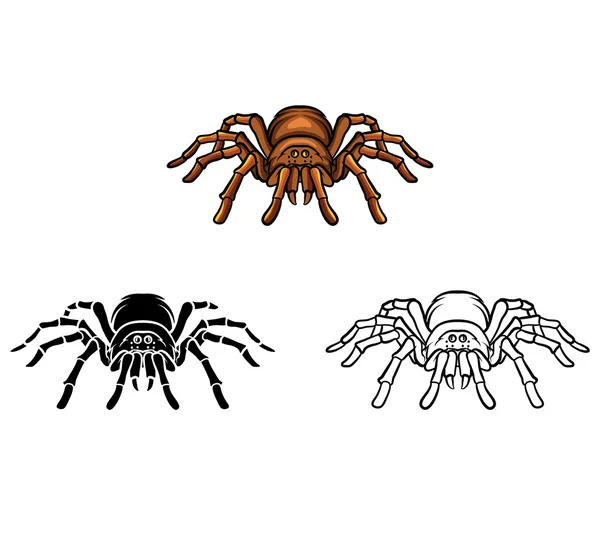 Livre à colorier Tarantula personnage de dessin animé — Image vectorielle