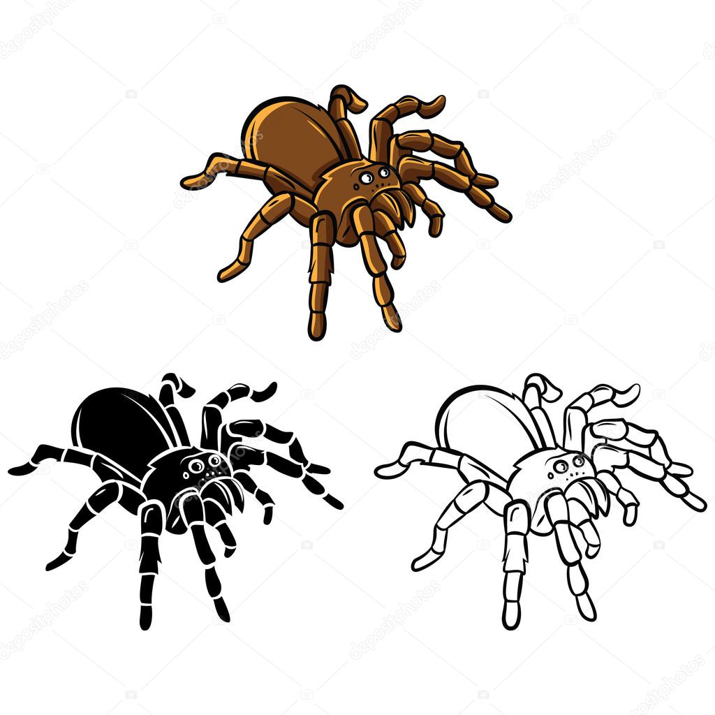 Coloring book Tarantula cartoon character