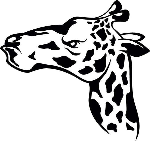 Cabeça de girafa — Vetor de Stock
