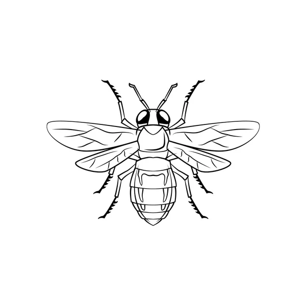 Bee ontwerp illustratie — Stockvector