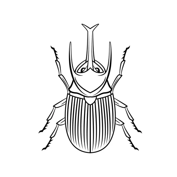 Beetle symbol illustration — Stock Vector