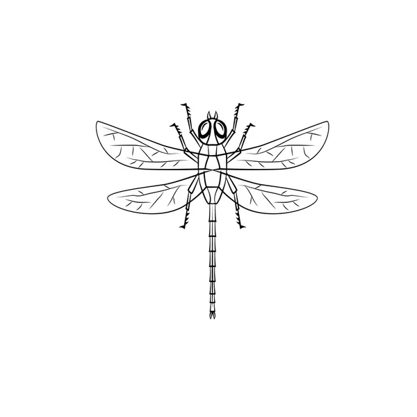 Dragonfly symbol illustration — Stock Vector