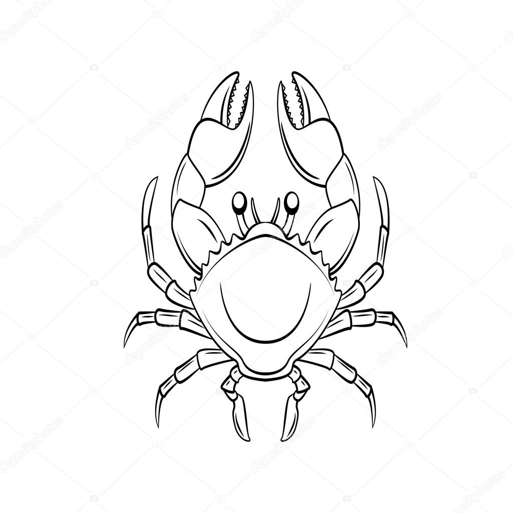 Crab animal cartoon