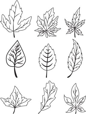 Yaprak sembol illüstrasyon