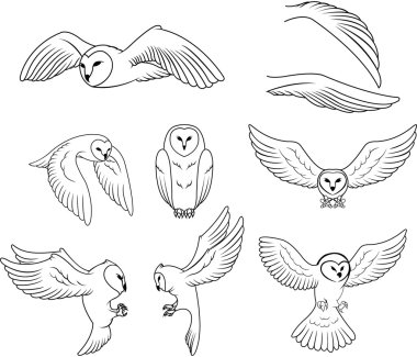 stock vector