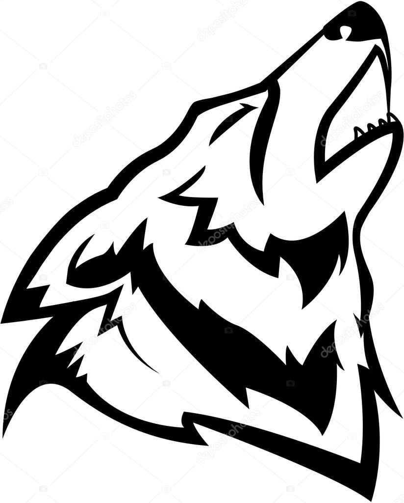 Wolf  illustration design