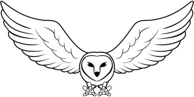 Baykuş resim tasarım