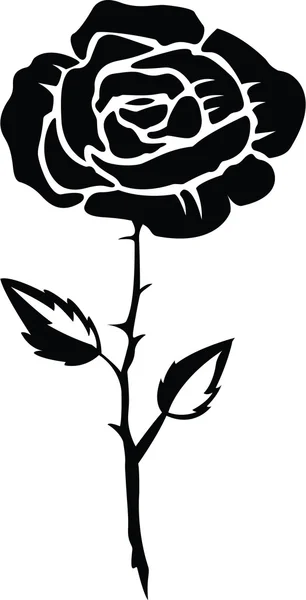 Illustration rose — Image vectorielle