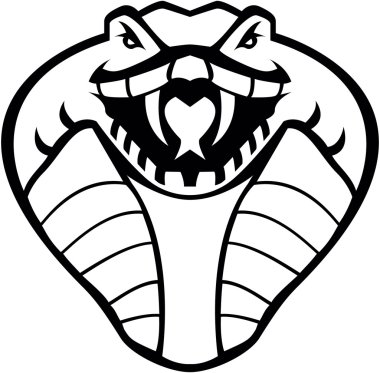 Kobra illüstrasyon tasarımı