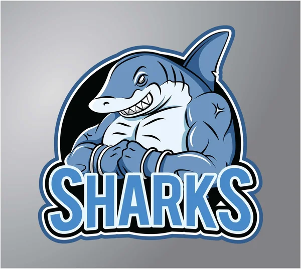 Shark design vector illustration — Stock Vector