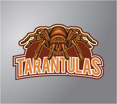 Tarantula illüstrasyon tasarım sembolü