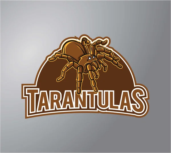 Tarantula Illustration Design symbol — Stock Vector
