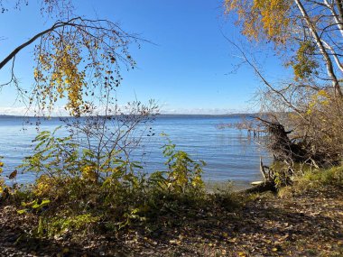Yeni yıl havası. Noel süsleri. Kış tatili