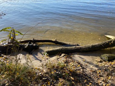 Yeni yıl havası. Noel süsleri. Kış tatili