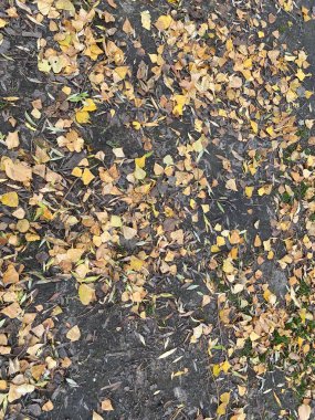 Yeni yıl havası. Noel süsleri. Kış tatili