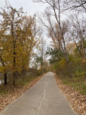 Yeni yıl havası. Noel süsleri. Kış tatili