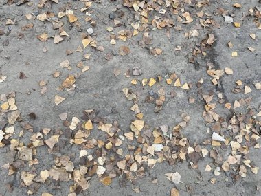 Yeni yıl havası. Noel süsleri. Kış tatili