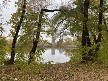 Yeni yıl havası. Noel süsleri. Kış tatili