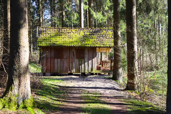 An old cabin in the woods covered with moss