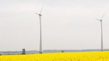 rüzgarlı bahar bulutlu gün boyunca petrol kolza tohumu ile sarı zemin üzerinde dönen birçok yel değirmenleri