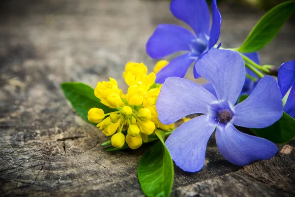 Ramo de flores violetas y amarillas con hoja verde —  Fotos de Stock