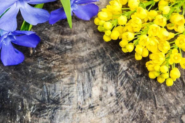 Ramo de flores violetas y amarillas con hoja verde —  Fotos de Stock