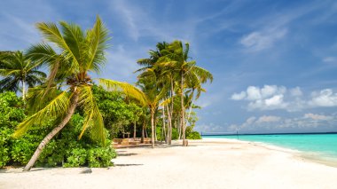 Irufushi Island, Maldivler sahil görünümü 