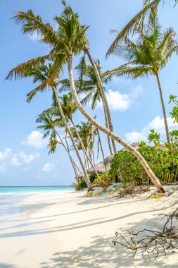 Irufushi Island, Maldivler sahil görünümü 