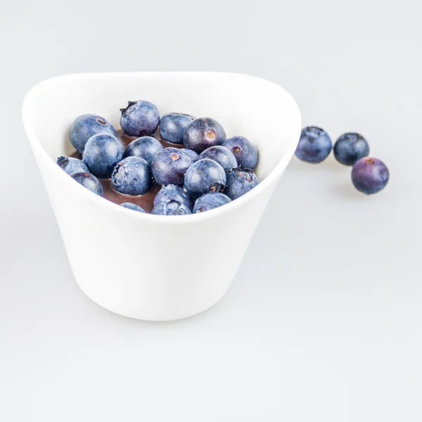 One cup of pudding with blueberries — Stock Photo, Image