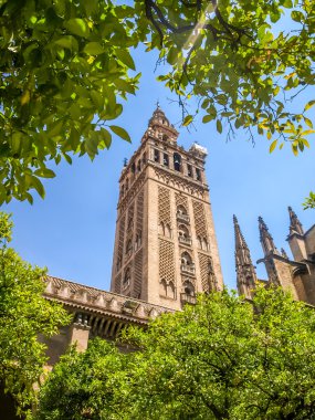 bir Katedrali: Sevilla, İspanya