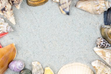 arka plan kabukları kum üzerinde yapılan